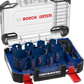 Bosch Professional Lochsäge ToughMaterial-Set EXPERT (2608900448)