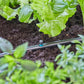 Gardena Micro-Drip-System Sprühdüse 90 Grad - Inhalt: 5 Stück (13320-20)